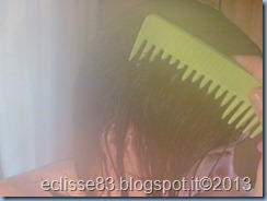 IMG_1512 IMG_1512