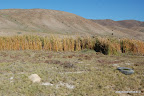 Ruta Costera Desierto Atacama