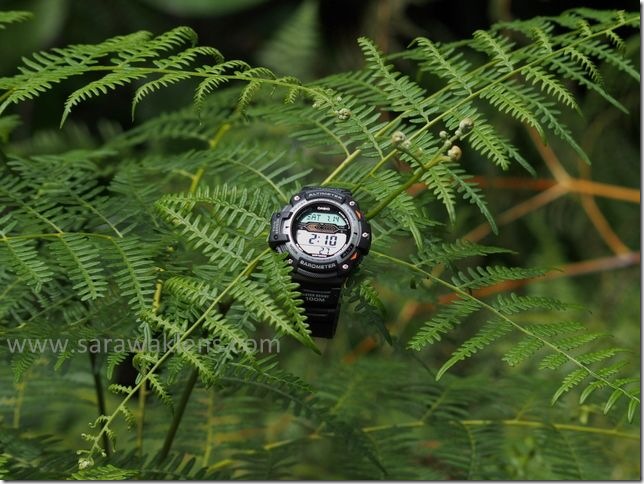 Sarawak Lens: Casio Outgear SGW-300H-1AV simple review