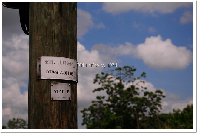 DSC_0884 DSC_0884