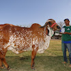 superleite2011_dia1607_48.JPG