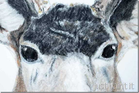 Deerhead-Sketch-E