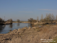 dsc07373.jpg