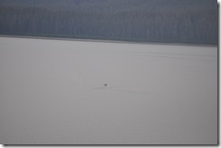 DSC_0370 DSC_0370