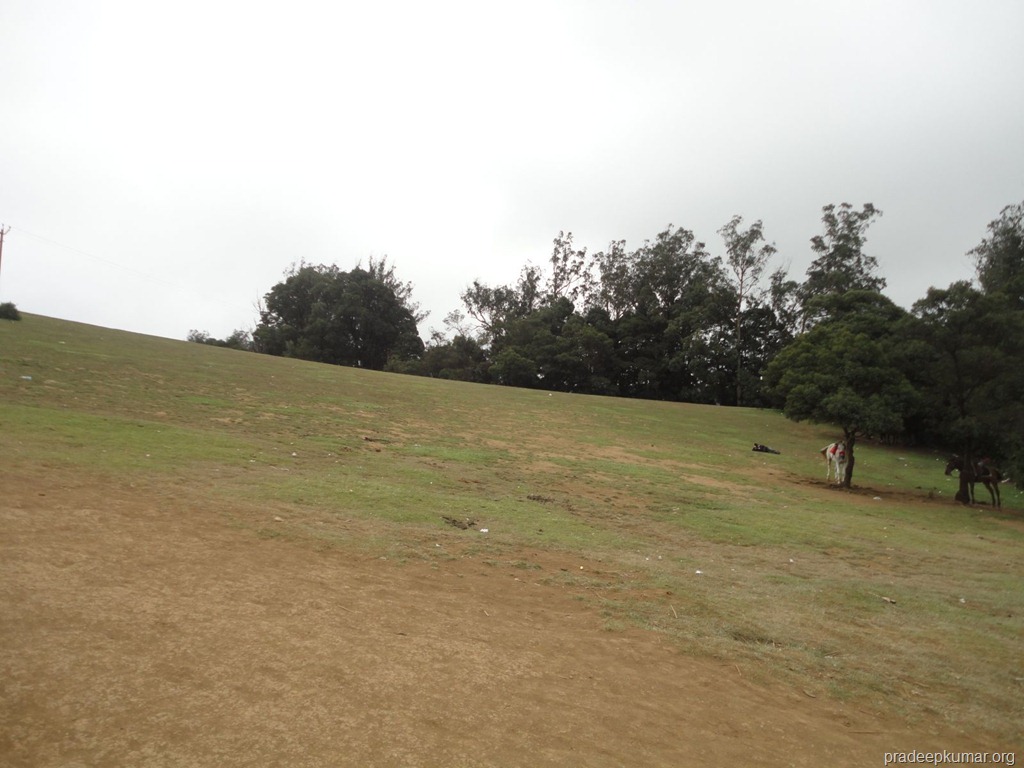 [image042%255B6%255D.jpg]