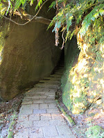 IMG_2818.JPG