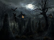 Helloween Field Of Pumpkins