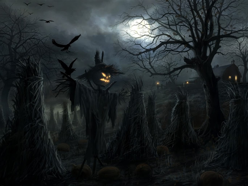 Helloween Field Of Pumpkins, Halloween