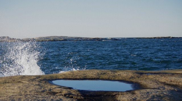 IMGP3890 (640x355)