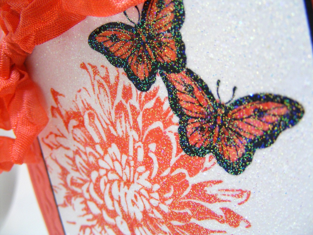 [DSCF4418%255B8%255D.jpg]