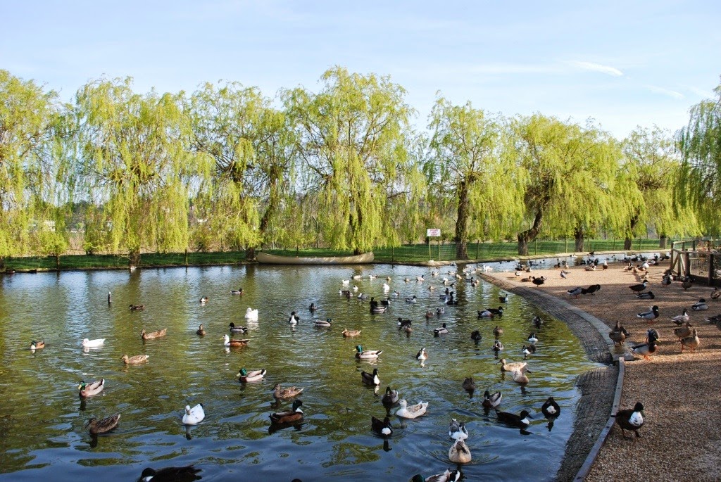 [DSC_0362%2520-%2520Copy%255B5%255D.jpg]