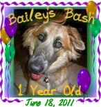 BaileysBash