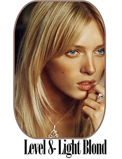 [level-8-blond-8764.jpg]