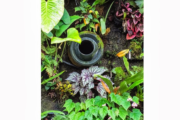 ventilation ventilation