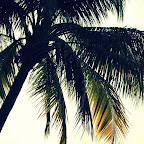 KeyWestFL KeyWestFL