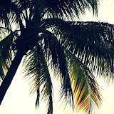 KeyWestFL KeyWestFL