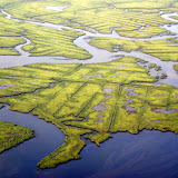 Wetlands on the coast of Connecticut.  The ditches were dug decades ago to drain the marshes and reduce mosquito populations.