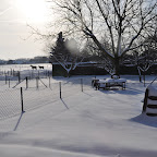 DSC_2392.jpg