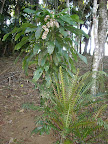 DSC05080.jpg