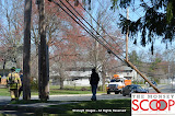 Car Into Pole In Front Of 164 East Eckerson Rd - DSC_0051.JPG