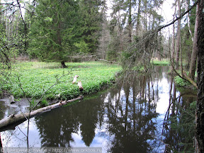 2006-05-13-154838