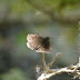 P1040154
