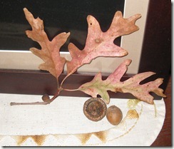 IMG_1113 IMG_1113
