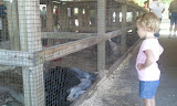 2011-08-04 14.28.51.jpg
