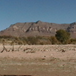 View album