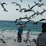 DSCF2652.JPG