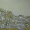 View album