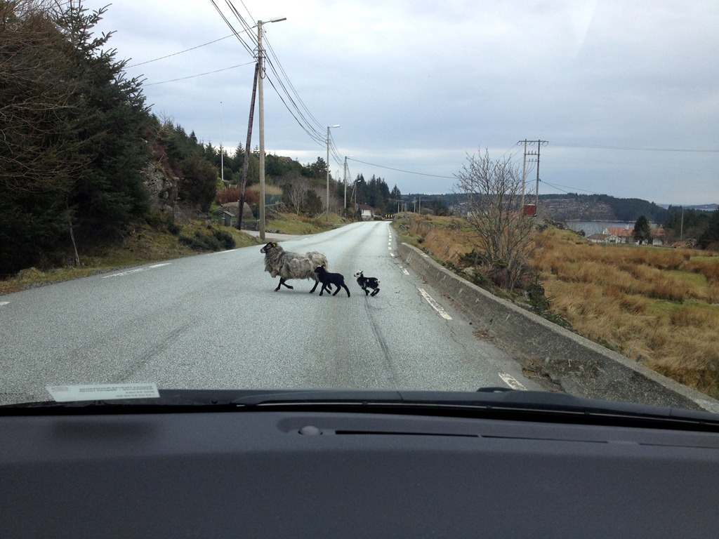 [IMG_0658%255B3%255D.jpg]