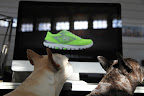 If we order shoes like that, do you think we'll run as fast as Mr. Quiggly?  Just think about it - the squirrels around here wouldn't stand a chance!