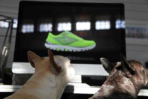 If we order shoes like that, do you think we'll run as fast as Mr. Quiggly?  Just think about it - the squirrels around here wouldn't stand a chance!
