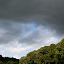 IMG_0311 IMG_0311