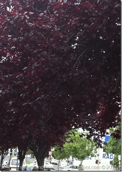 photo (2)