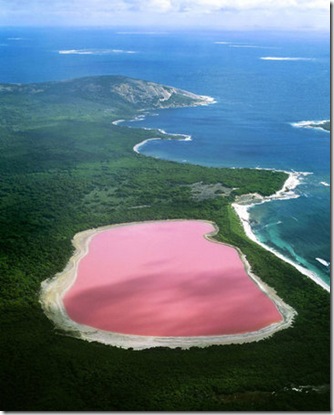 lacul roz-australia lacul roz-australia