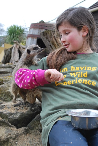 [DSC_0871%255B5%255D.jpg]