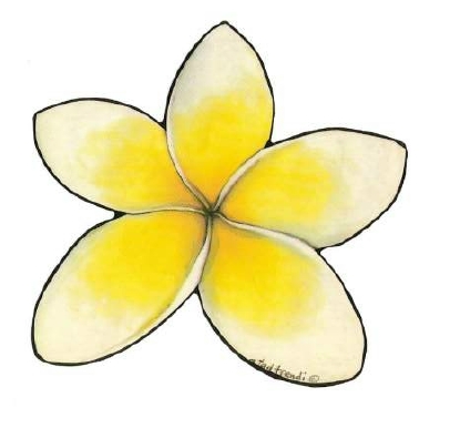picture frangipani