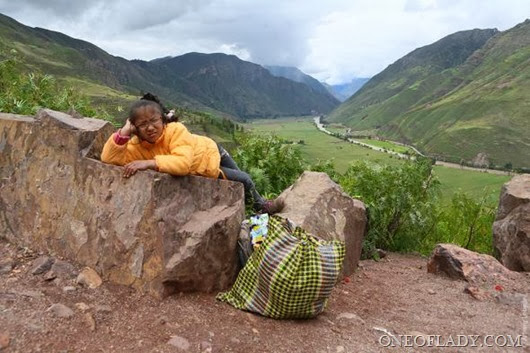 clip_image031 clip_image031