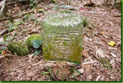 IMG_0041 IMG_0041