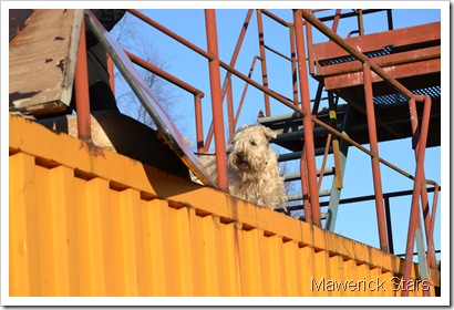 DSC_0757 DSC_0757