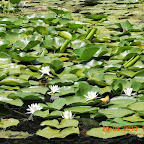 DSCN8280.JPG