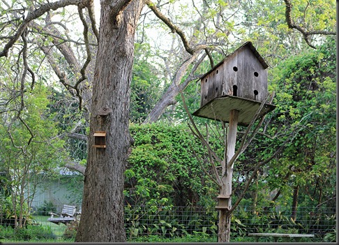 Columbus Texas Birdhouse Columbus Texas Birdhouse