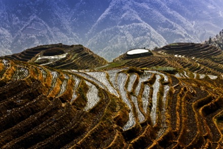 Rice fields, china