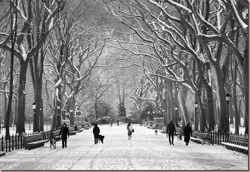 poets_walk_winter-fm1 poets_walk_winter-fm1