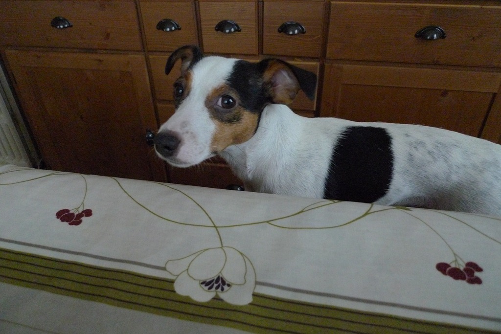[P10105194.jpg]
