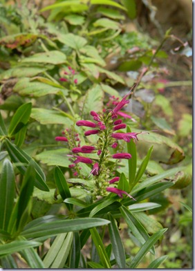 DSCN1336 DSCN1336