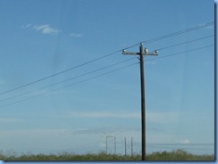 7195 Texas - US-77 North - bird of prey 7195 Texas - US-77 North - bird of prey
