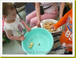IMG_4394 IMG_4394